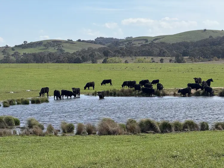 569 & 640 Blakney Creek North Road, Blakney Creek NSW 2581
