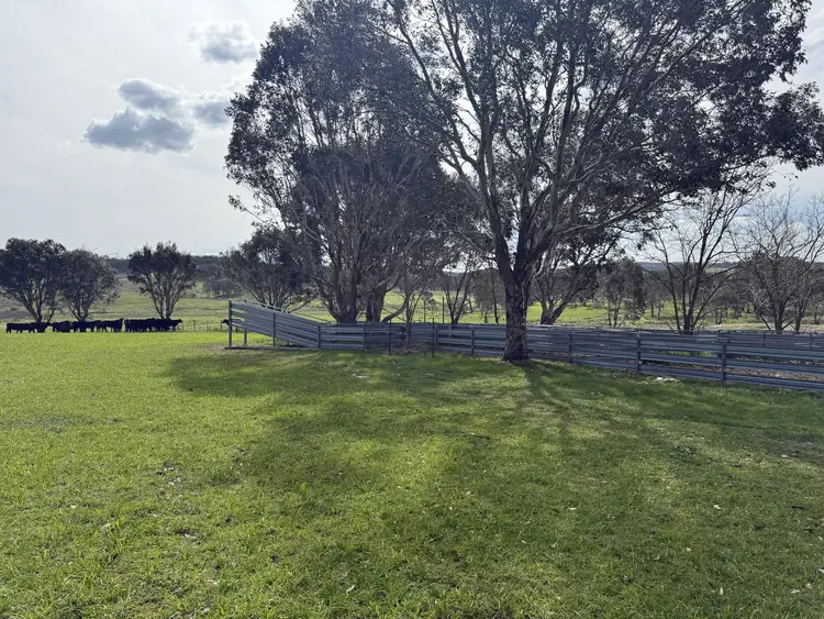 Sixth view of Homely rural property listing, 569 & 640 Blakney Creek North Road, Blakney Creek NSW 2581