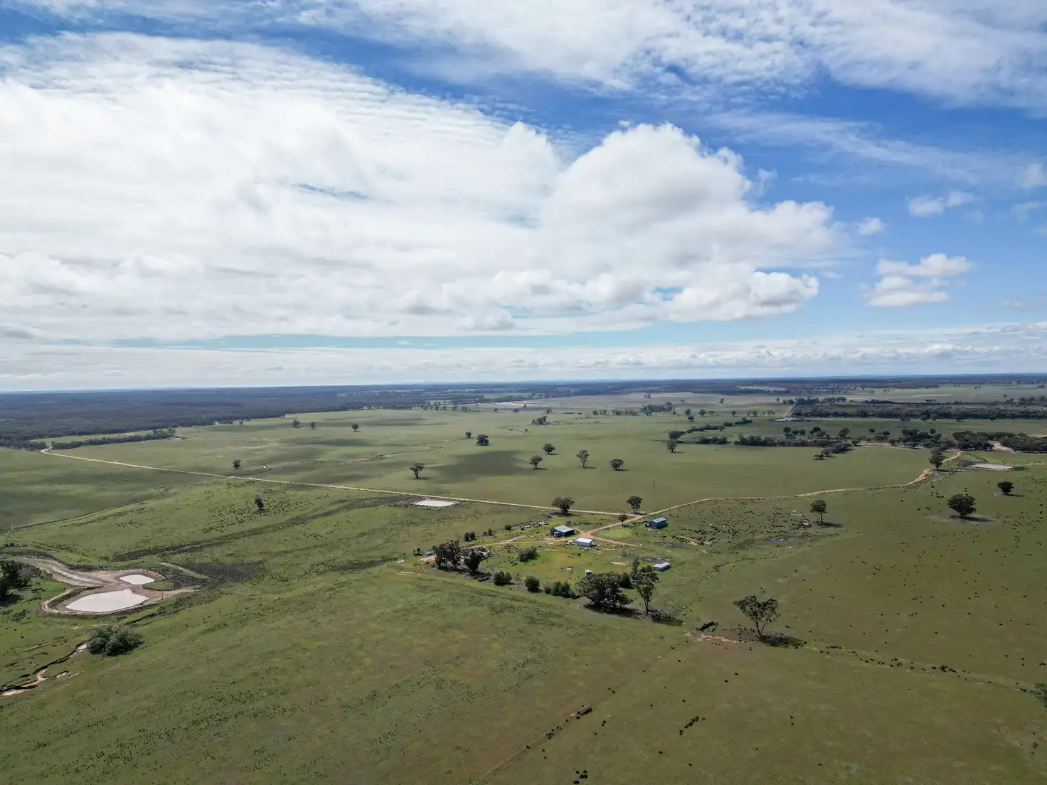 Main view of Homely rural property listing, ' Dalmallee' 735 Charcoal Tank Road, West Wyalong NSW 2671