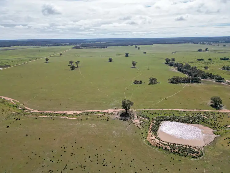 Second view of Homely rural property listing, ' Dalmallee' 735 Charcoal Tank Road, West Wyalong NSW 2671