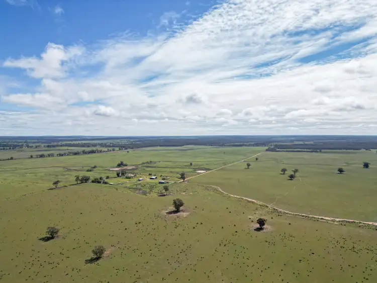 Third view of Homely rural property listing, ' Dalmallee' 735 Charcoal Tank Road, West Wyalong NSW 2671