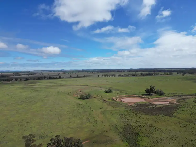 Fourth view of Homely rural property listing, ' Dalmallee' 735 Charcoal Tank Road, West Wyalong NSW 2671