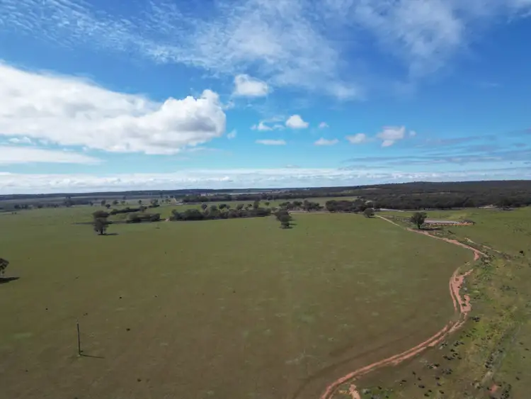 Fifth view of Homely rural property listing, ' Dalmallee' 735 Charcoal Tank Road, West Wyalong NSW 2671