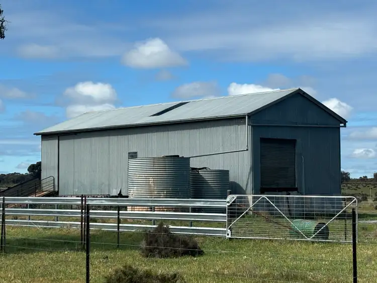 Sixth view of Homely rural property listing, ' Dalmallee' 735 Charcoal Tank Road, West Wyalong NSW 2671