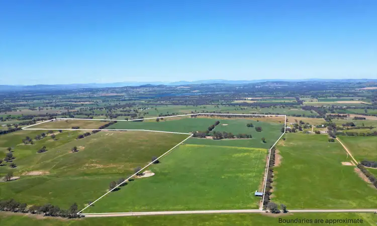 Main view of Homely rural property listing, 798 Bethel Road, Glenellen NSW 2642