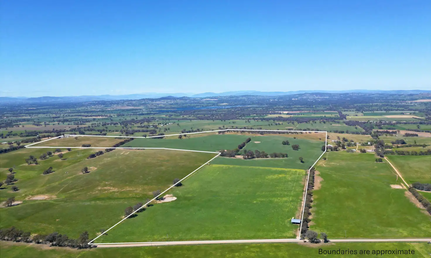 Main view of Homely rural property listing, 798 Bethel Road, Glenellen NSW 2642