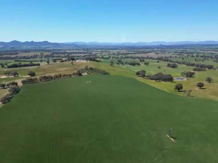 Third view of Homely rural property listing, 798 Bethel Road, Glenellen NSW 2642