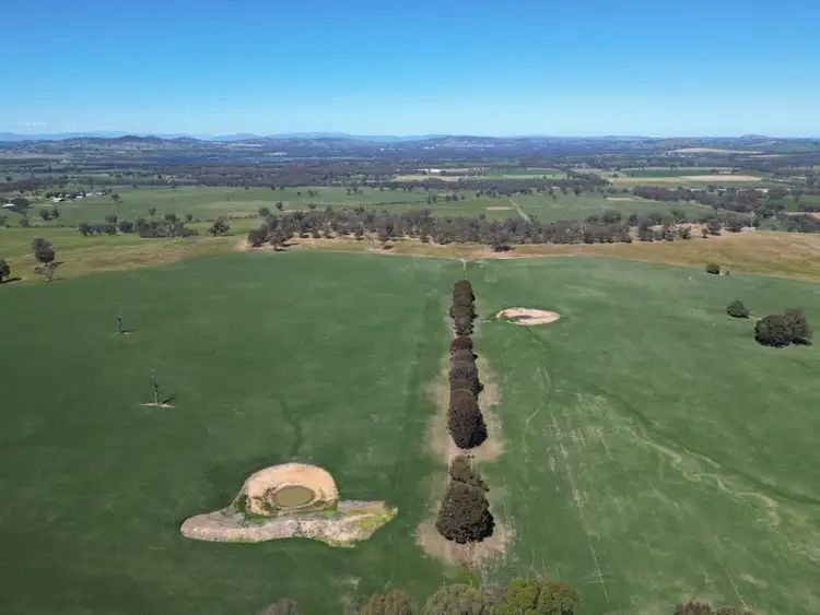 Fifth view of Homely rural property listing, 798 Bethel Road, Glenellen NSW 2642