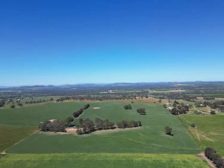 Sixth view of Homely rural property listing, 798 Bethel Road, Glenellen NSW 2642