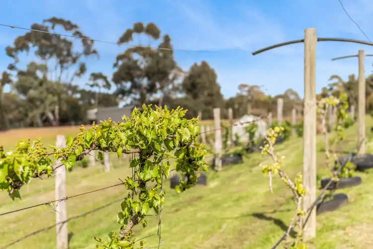 Second view of Homely rural property listing, 109 Meadows Lane, Heathcote VIC 3523