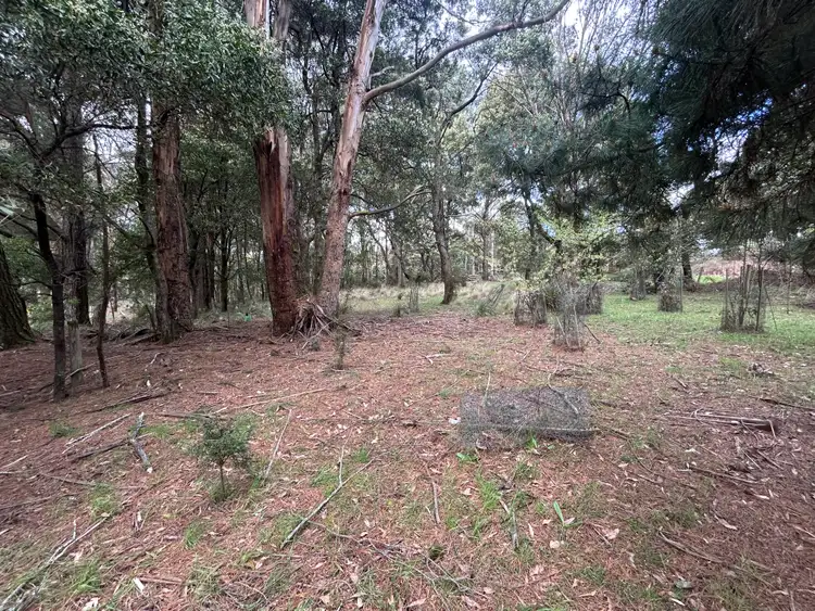 Seventh view of Homely land listing, 975 Daylesford-Trentham Road, Bullarto VIC 3461