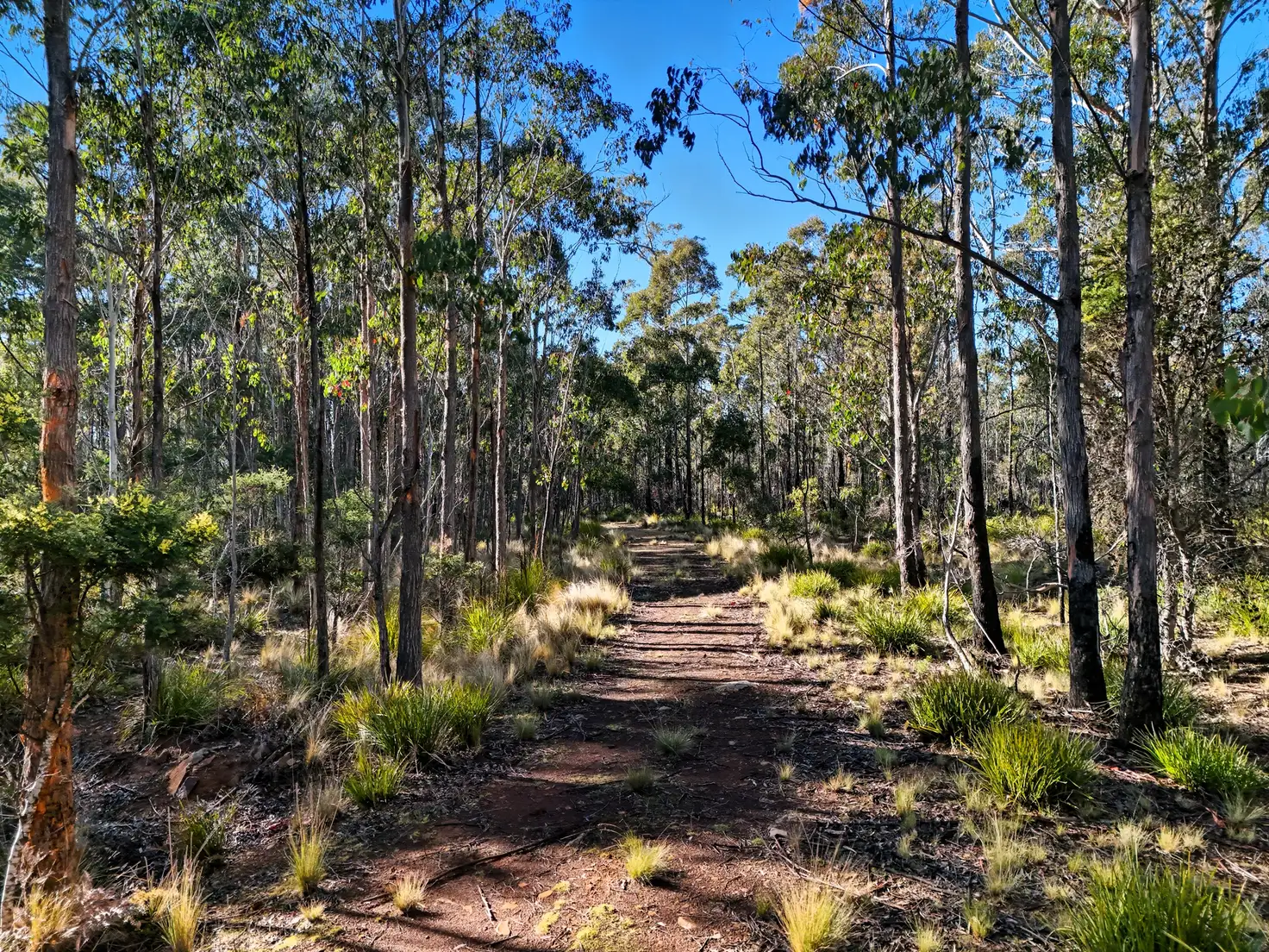 Main view of Homely land listing, 123 Lake View Road, Lake Leake TAS 7210