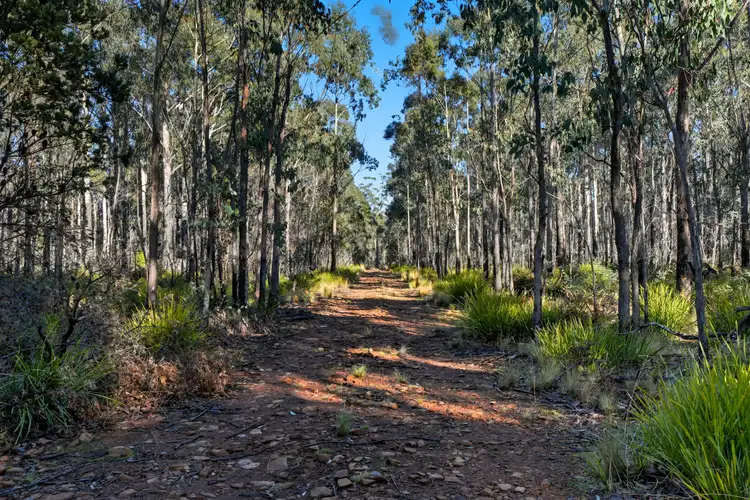 Seventh view of Homely land listing, 123 Lake View Road, Lake Leake TAS 7210