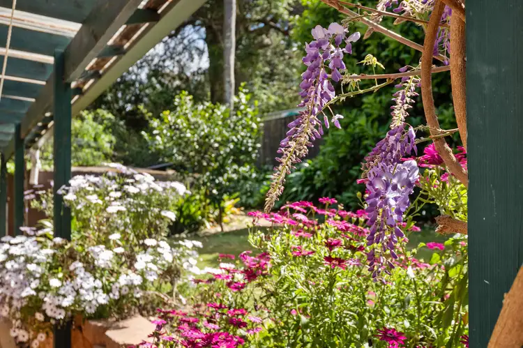 Third view of Homely house listing, 16 Don Street, Kurrajong Heights NSW 2758