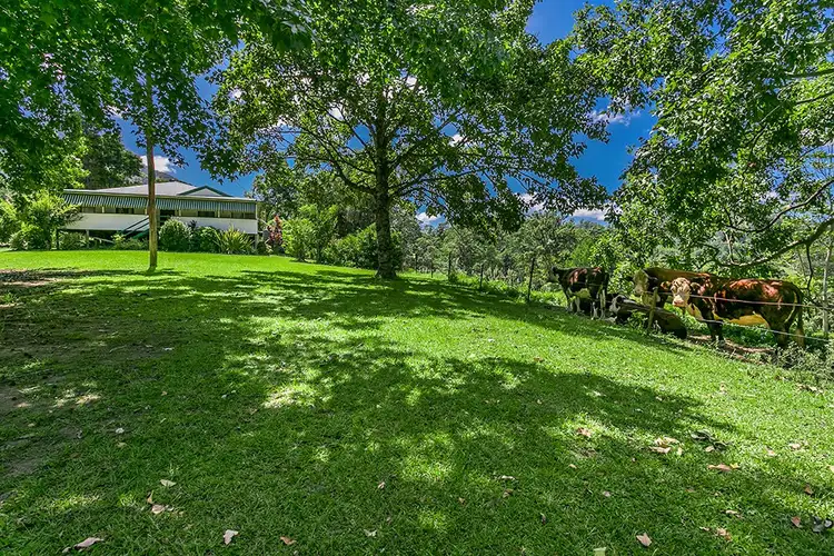 Fifth view of Homely rural property listing, 442 Blue Knob Road, Nimbin NSW 2480