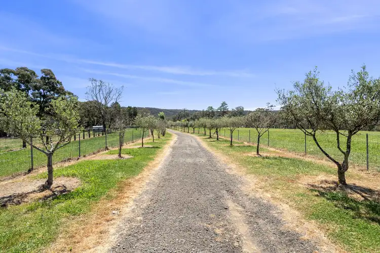 Second view of Homely rural property listing, 2 Murrimba Road, Paddys River NSW 2577