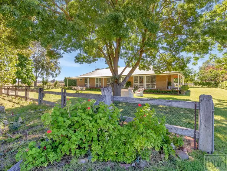 Fifth view of Homely rural property listing, 142 Whittaker Lane, Howlong NSW 2643