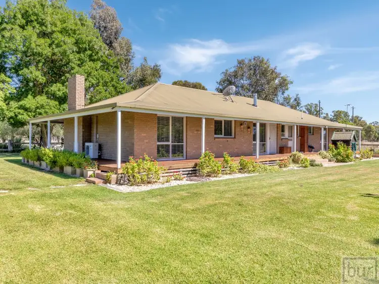 Sixth view of Homely rural property listing, 142 Whittaker Lane, Howlong NSW 2643