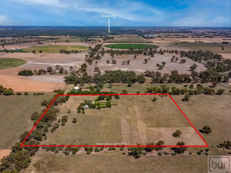 Seventh view of Homely rural property listing, 142 Whittaker Lane, Howlong NSW 2643
