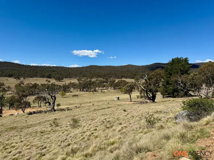 Sixth view of Homely rural property listing, 466 Rothlyn Road, Chakola NSW 2630
