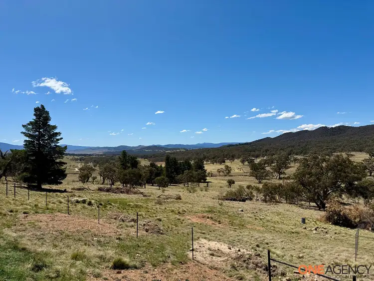 Sixth view of Homely rural property listing, 466 Rothlyn Road, Chakola NSW 2630