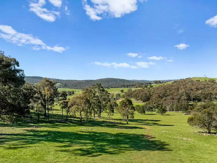 Sixth view of Homely rural property listing, 665 Fernhills Road, Marraweeney VIC 3669