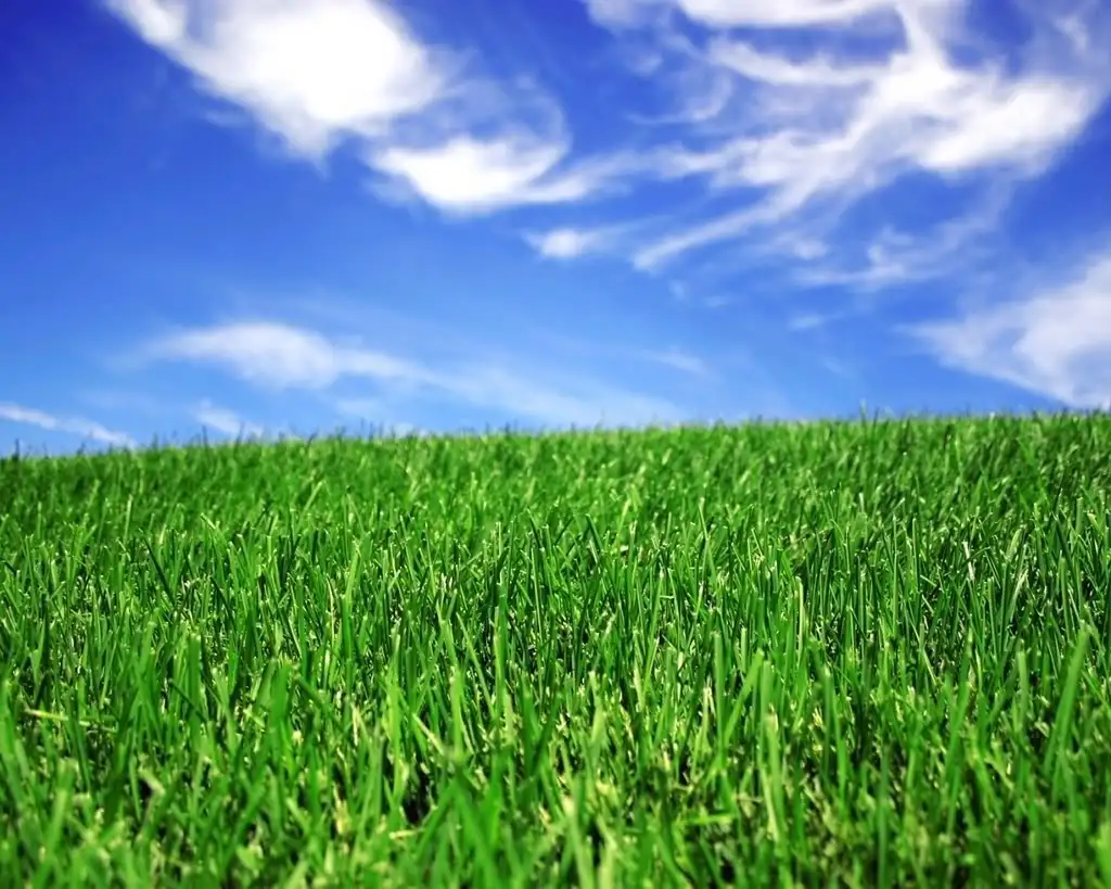 Main view of Homely land listing, 19 Woody Court, Bannockburn VIC 3331