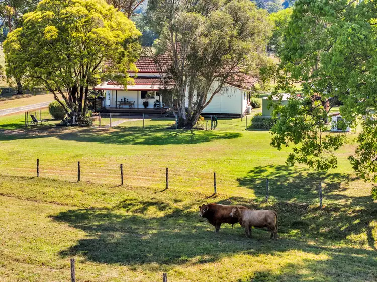 Third view of Homely rural property listing, 1078 Keerrong Road, Keerrong NSW 2480