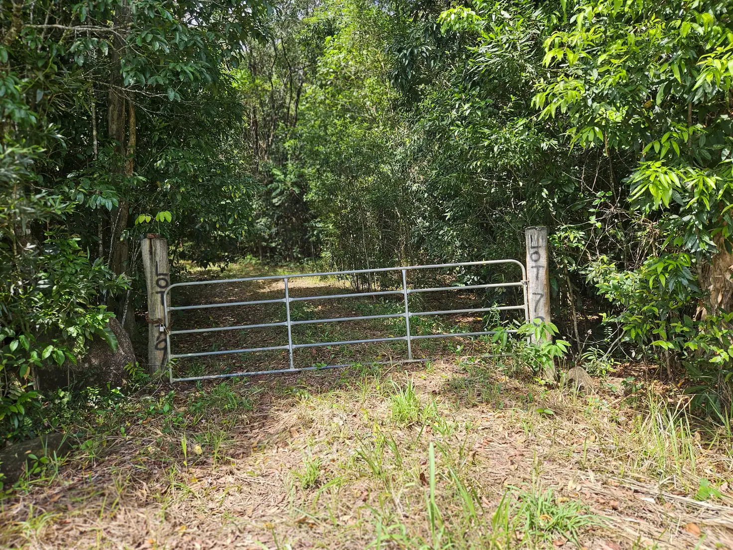 Main view of Homely rural property listing, 2401 Rossville Bloomfield Road, Bloomfield QLD 4895