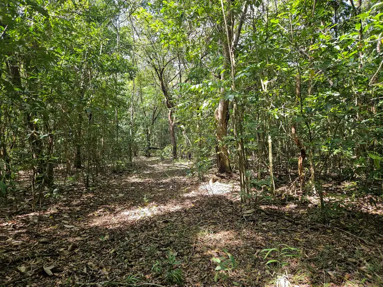 Third view of Homely rural property listing, 2401 Rossville Bloomfield Road, Bloomfield QLD 4895