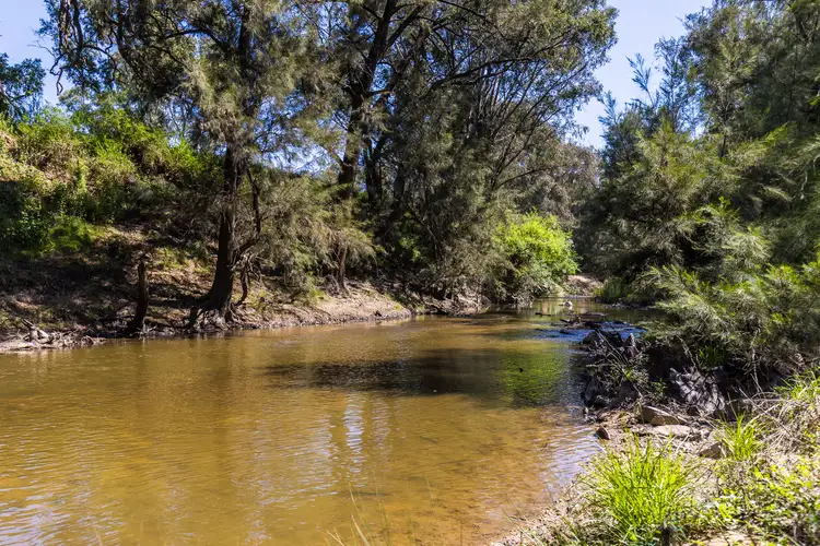 4194 Twelve Mile Road, Gulgong NSW 2852