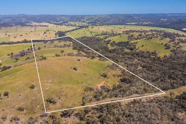 Second view of Homely rural property listing, 4194 Twelve Mile Road, Gulgong NSW 2852