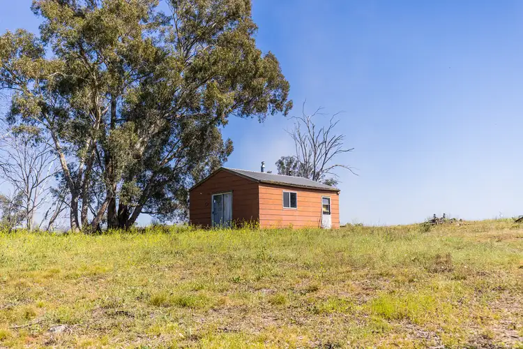 Third view of Homely rural property listing, 4194 Twelve Mile Road, Gulgong NSW 2852