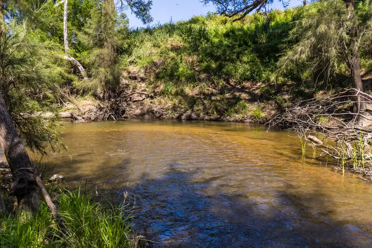 Fourth view of Homely rural property listing, 4194 Twelve Mile Road, Gulgong NSW 2852