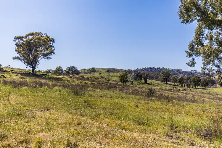 Fifth view of Homely rural property listing, 4194 Twelve Mile Road, Gulgong NSW 2852