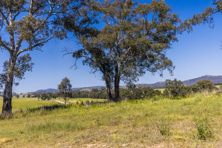 Sixth view of Homely rural property listing, 4194 Twelve Mile Road, Gulgong NSW 2852