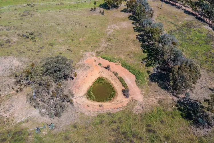 Seventh view of Homely rural property listing, 4194 Twelve Mile Road, Gulgong NSW 2852