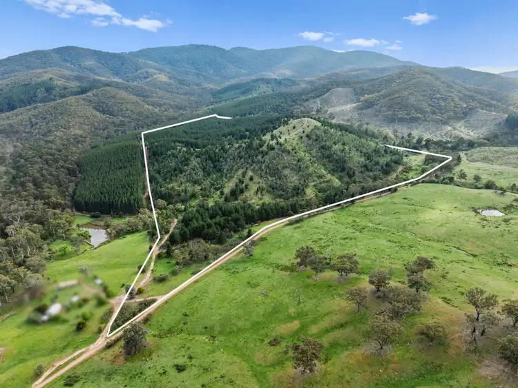 259 Hells Hole Creek Road, Bonnie Doon VIC 3720