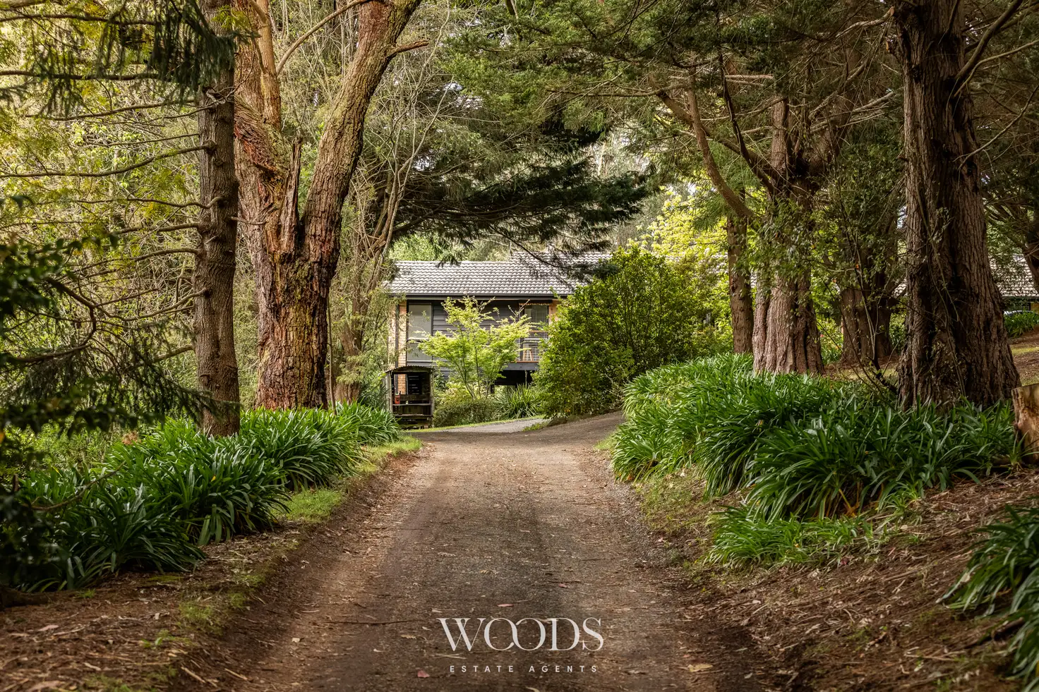 Main view of Homely house listing, 26 Georges Road, The Patch VIC 3792