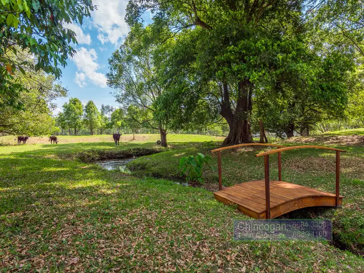 Third view of Homely rural property listing, 2046 Coolamon Scenic Drive, Mullumbimby NSW 2482