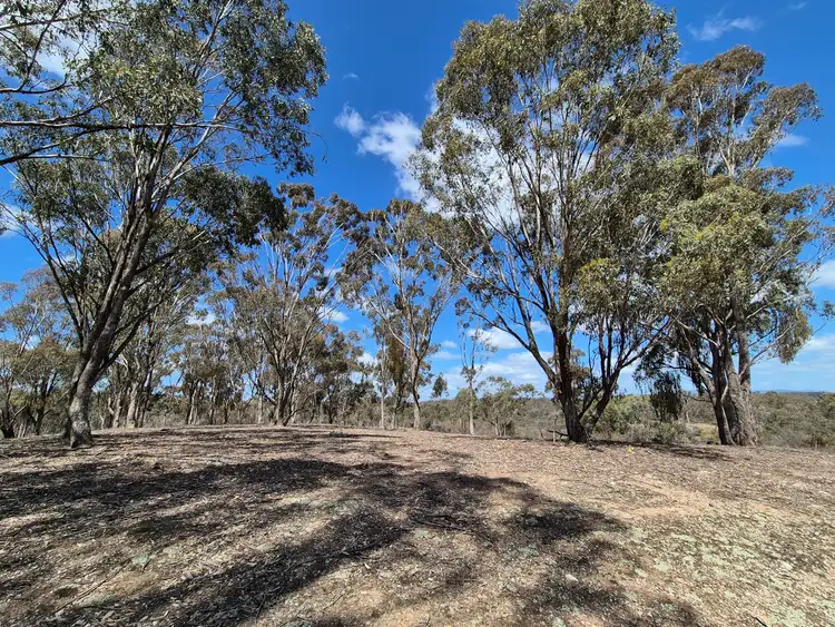 Fourth view of Homely rural property listing, Lot 2 Gellibrand Tonks Road, Earlston VIC 3669