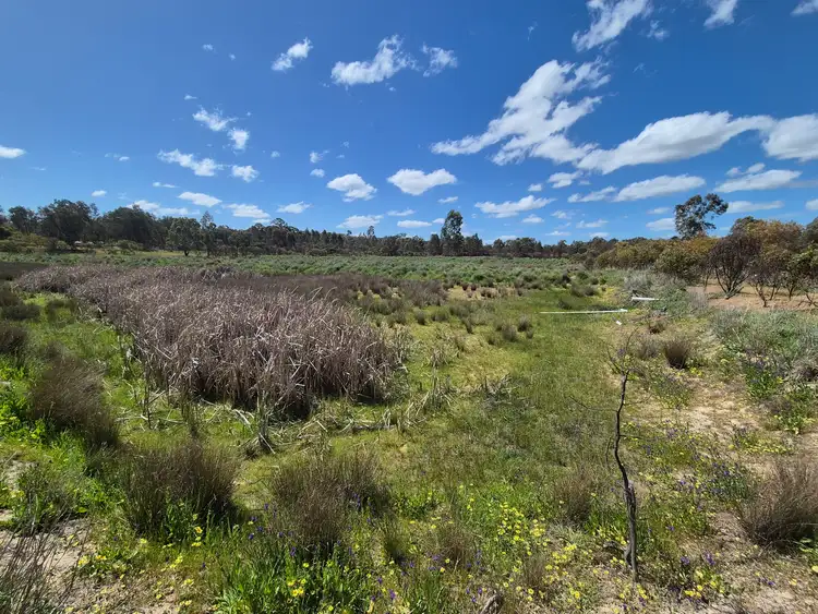 Seventh view of Homely rural property listing, Lot 2 Gellibrand Tonks Road, Earlston VIC 3669