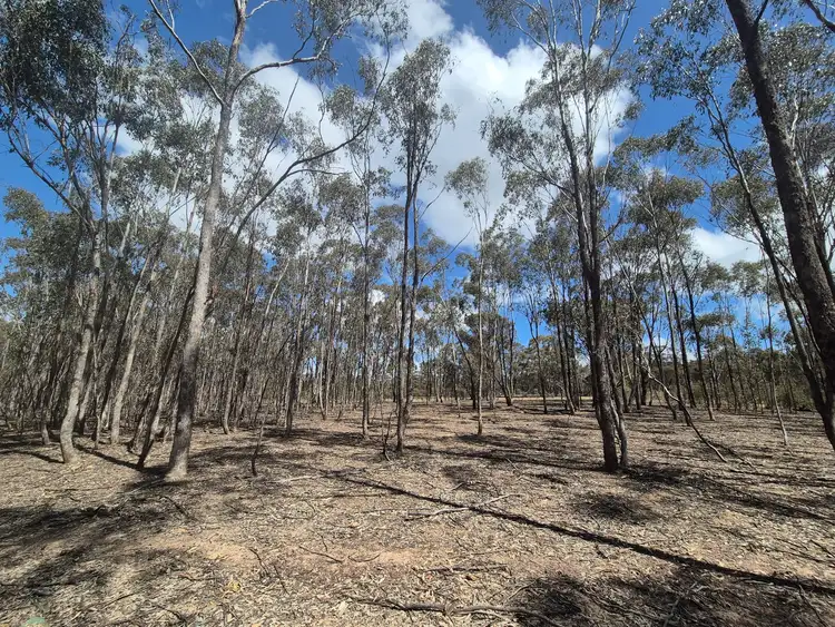 Fourth view of Homely rural property listing, Lot 3 Gellibrand Tonks Road, Earlston VIC 3669