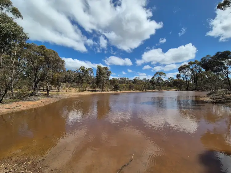 Seventh view of Homely rural property listing, Lot 3 Gellibrand Tonks Road, Earlston VIC 3669