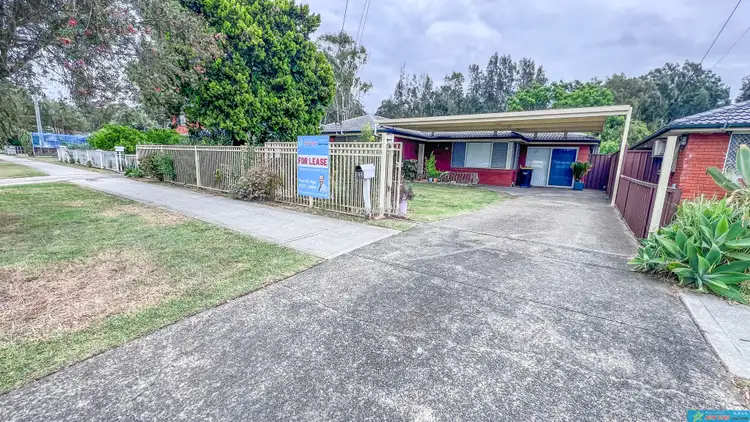 55 Lehmann Avenue, Liverpool NSW 2170