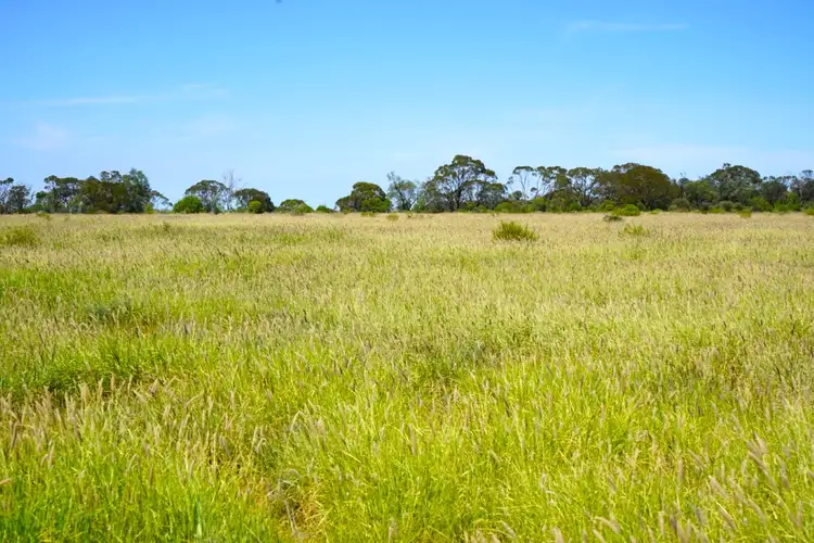 1081 Tareela Access Road, Mungallala QLD 4467