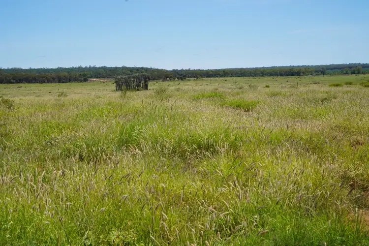 Second view of Homely rural property listing, 1081 Tareela Access Road, Mungallala QLD 4467
