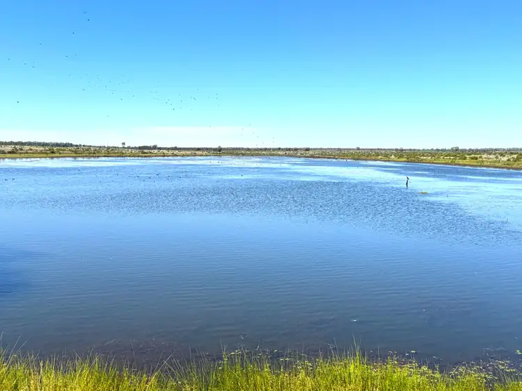 Third view of Homely rural property listing, 1081 Tareela Access Road, Mungallala QLD 4467