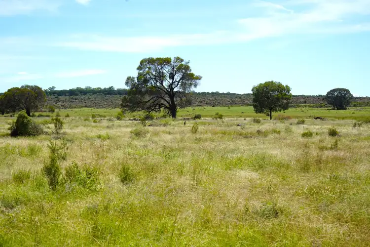 Fourth view of Homely rural property listing, 1081 Tareela Access Road, Mungallala QLD 4467
