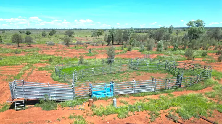 Fifth view of Homely rural property listing, 1081 Tareela Access Road, Mungallala QLD 4467